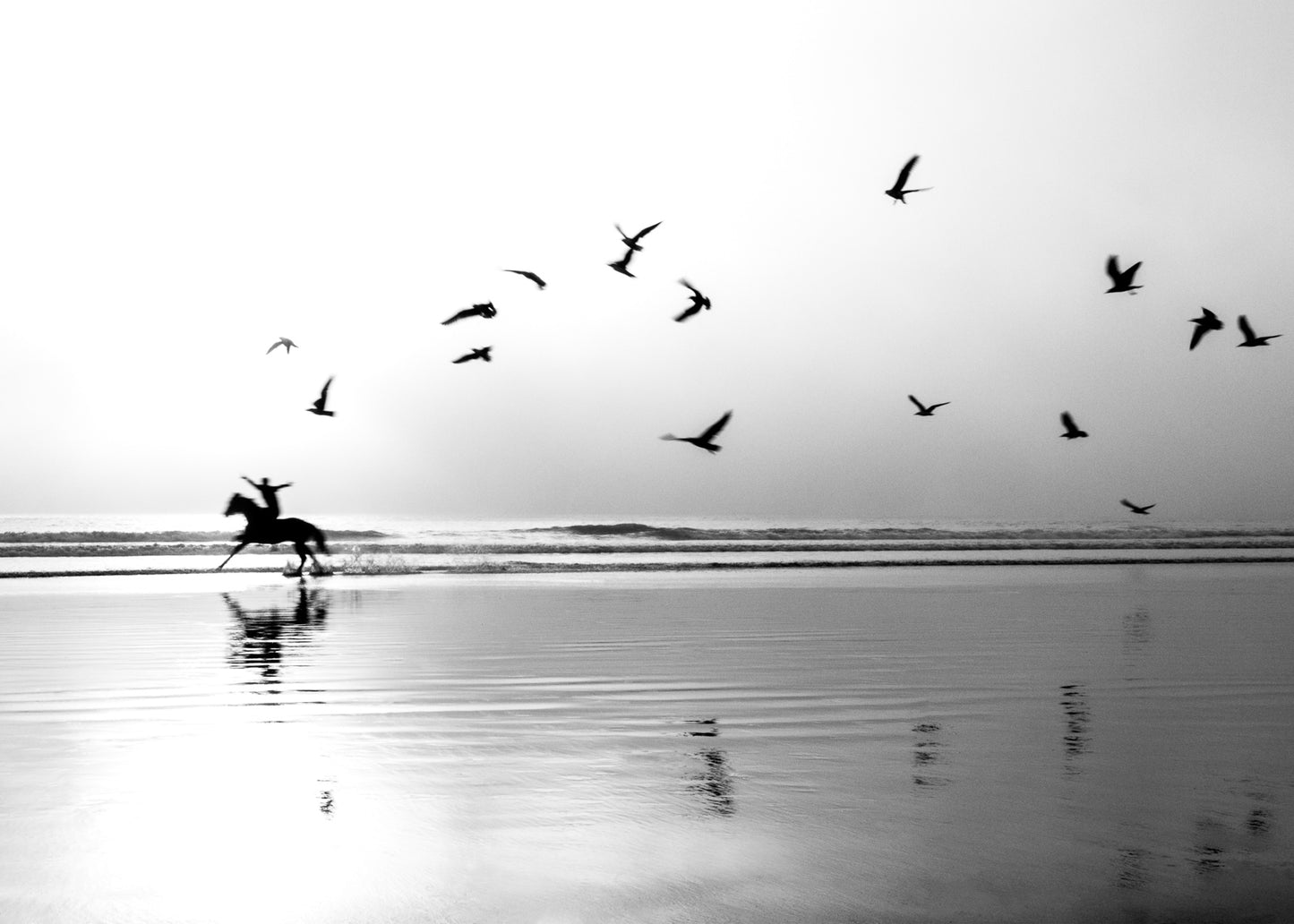 THE MAN WHO WANTED TO FLY No01