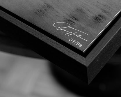 THE FUGITIVE No01
