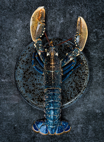 FOOD PASSION No07