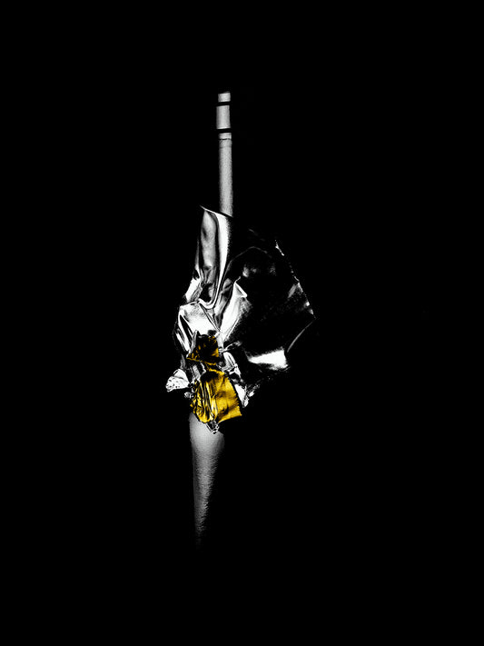 LE VIN, LA VIE No02