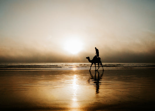 SEA, SAND & SUN No02