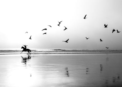 THE MAN WHO WANTED TO FLY No01