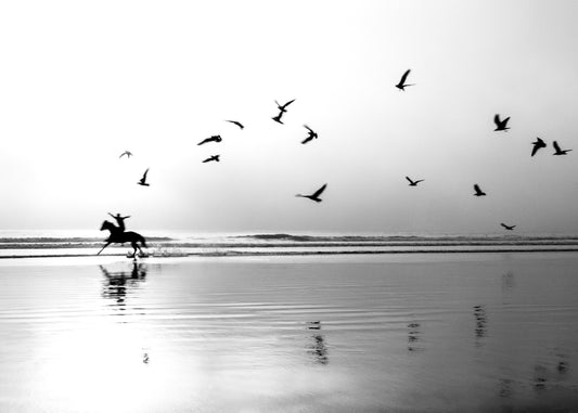 THE MAN WHO WANTED TO FLY No01